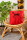 Bio-Kissenbezug Schierling rot 40x40 cm