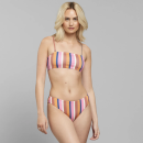 Bikini Bottoms Sanda Irregular Stripe multi color