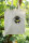 Bio-Fashion-Bag Erdhummel, natur