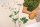 Bio&Fair-Trade Geschirrtuch Lovely Unkraut, natur