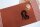 Handgewebtes Geschirrtuch Dackel foxy