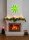 Weihnachtsstern tern mit LED Leuchte Grün