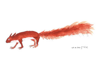 Postkarte Eichhörnchen