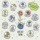 Blumenmurmeln in Dosen