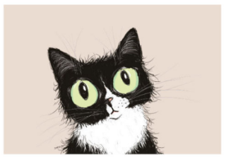 Postkarte Staring Cat