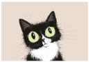 Postkarte Staring Cat