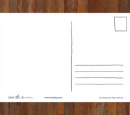 Postkarte Staring Cat