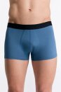 Herren Trunkshorts alpengrau