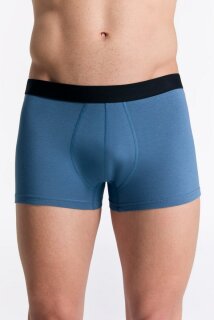 Herren Trunkshorts alpengrau M
