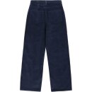 Feincordhose GALE night sky