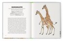 Buch Queere Tiere illustriert