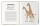 Buch Queere Tiere illustriert