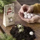 Schneemannbäuche – 8 weiße Blumenmurmeln