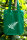 Fashion-Bag Farn kelly green weißer Druck