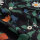 Viskose-Bluse Alsvik Strawberry Field black