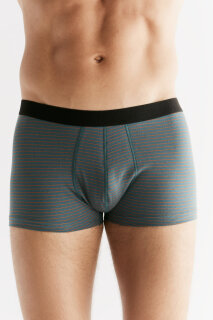 Herren Trunkshorts tanne-tabasco
