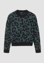 Pullover PISTIA LEO deep green